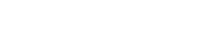 Logo ERVE SCHUSTER