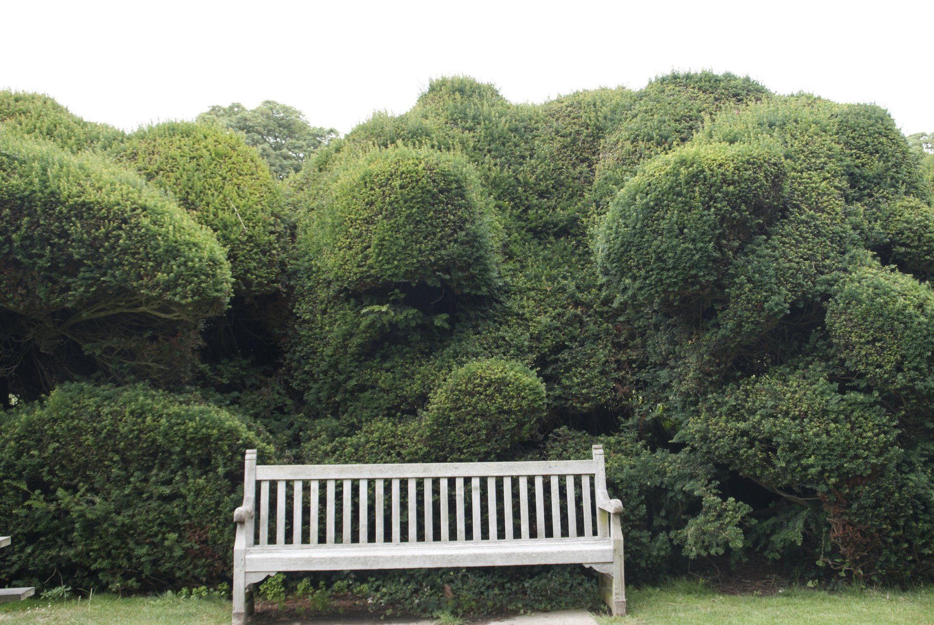 Mobbing, Arbeitsverlust, Arbeitssuche coaching