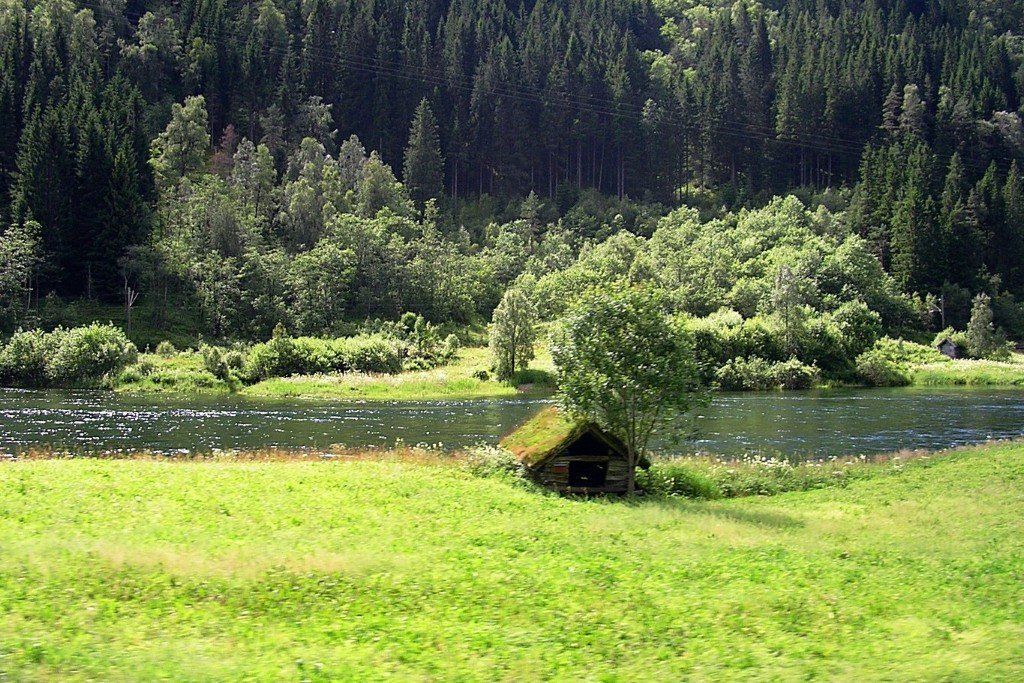 Ängste, Zwänge, Depression Psychologische Behandlung