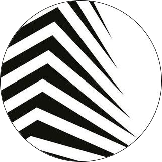 Business and Service Company