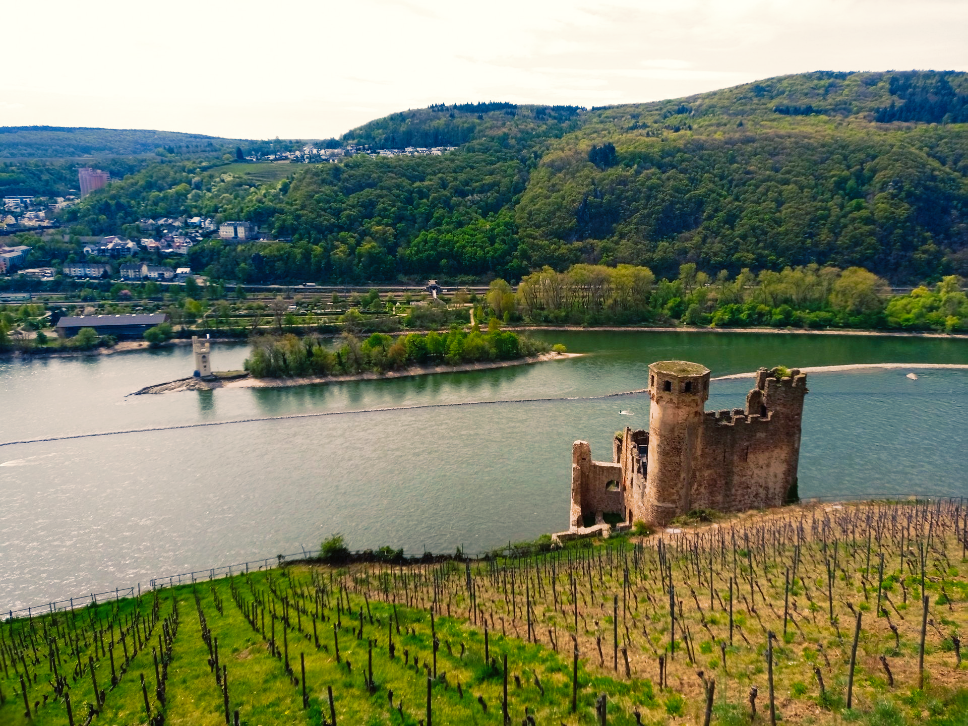 Rhein