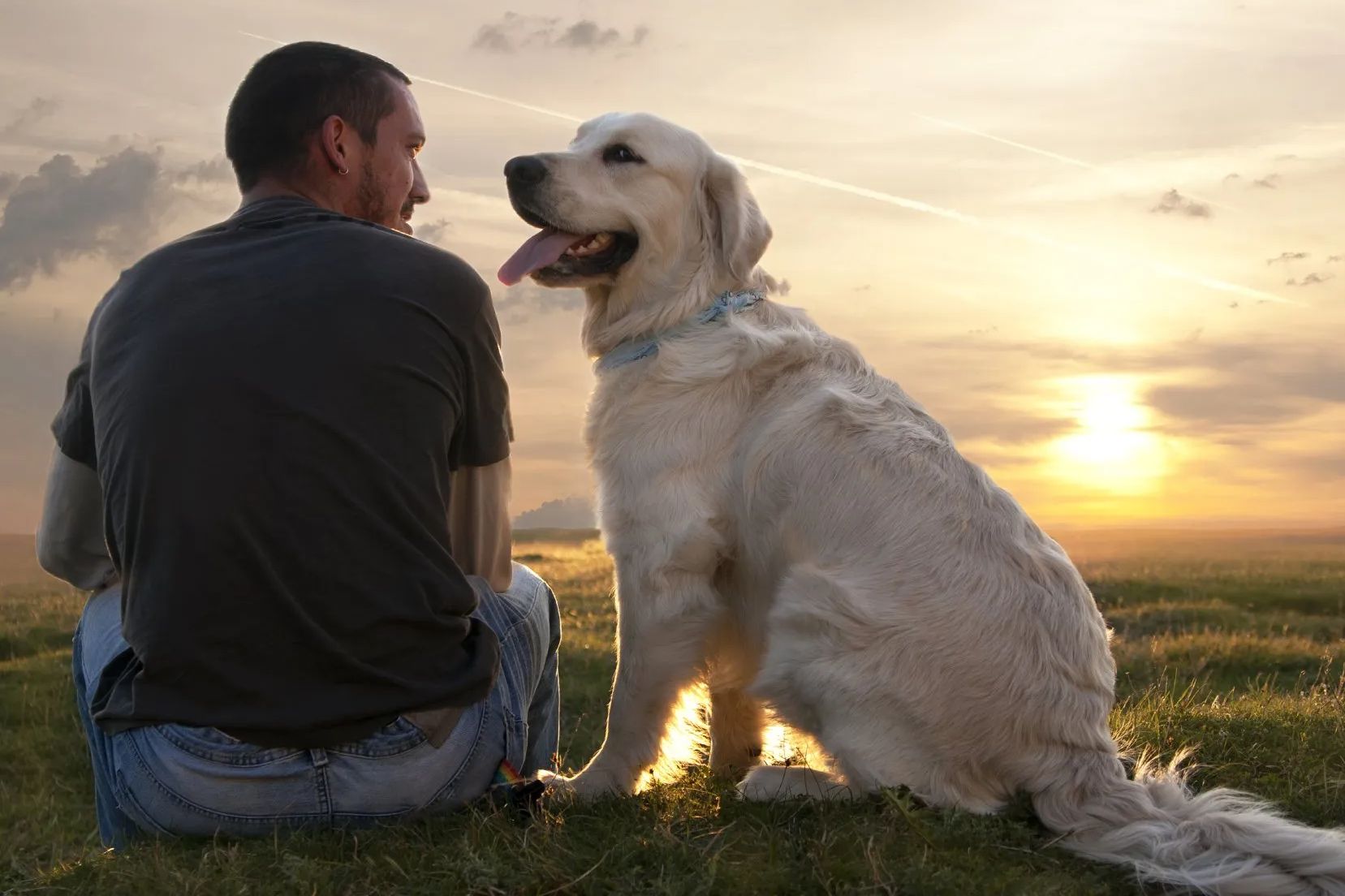 Hundeschule Lübz