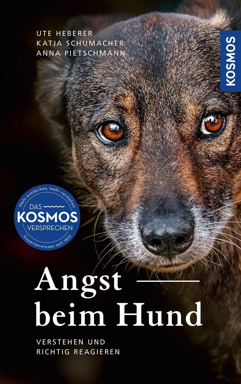 Angsthunde