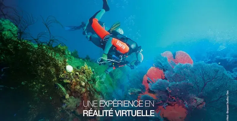 Un plongeur à coté de coraux rouges, filmé en VR