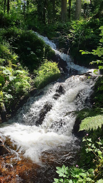 Nos lieux à visiter