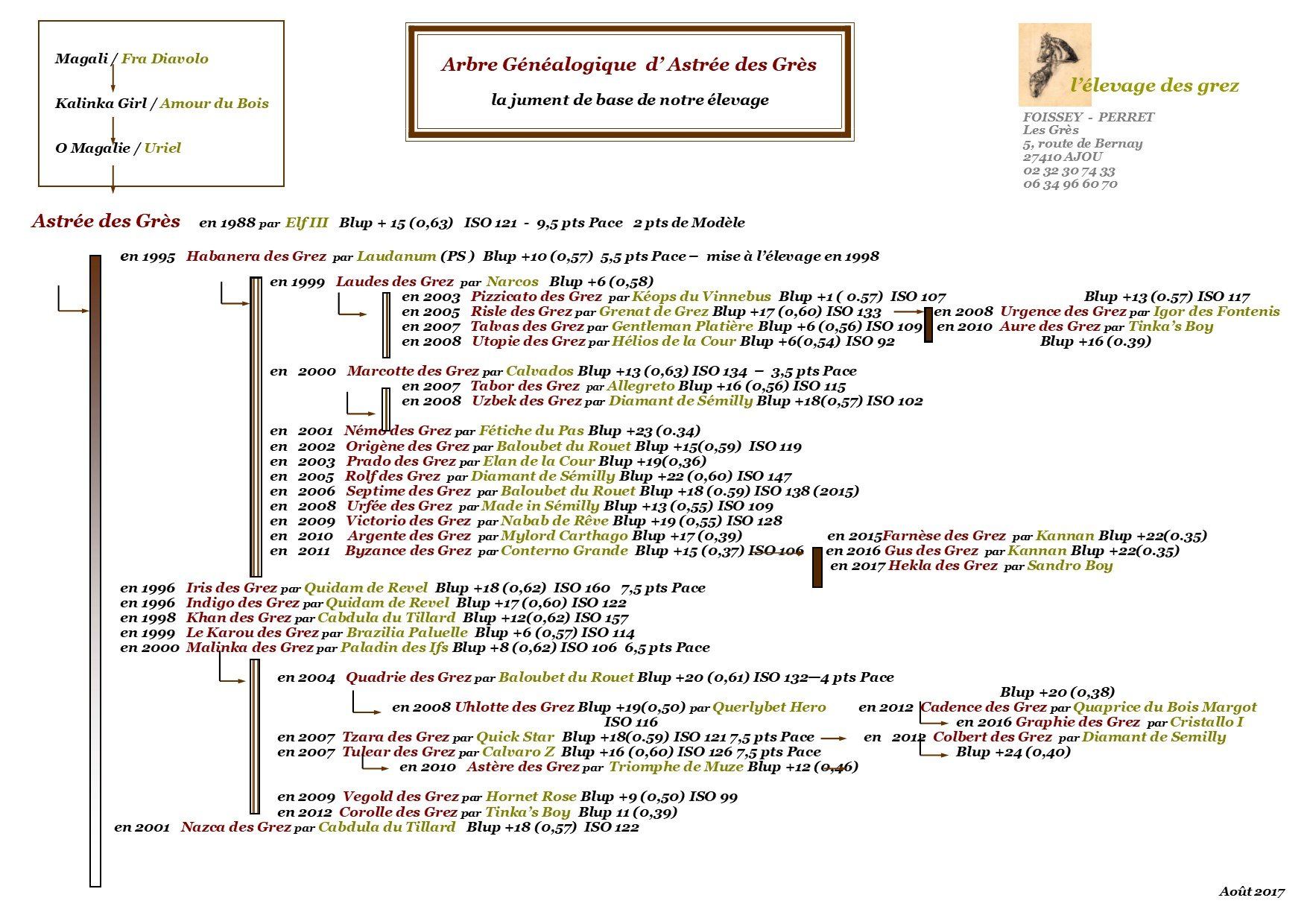 Arbre Généalogique