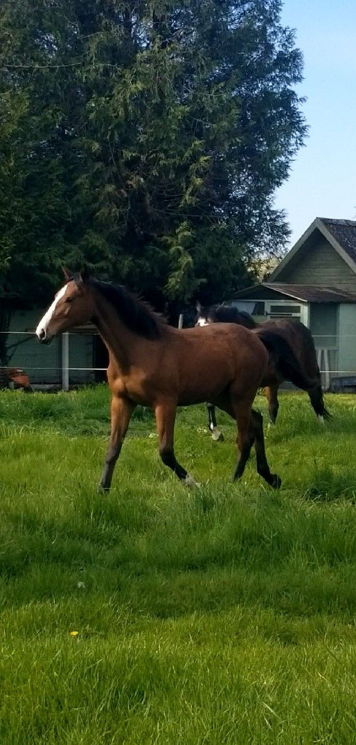 Magali des Grez à 1 an