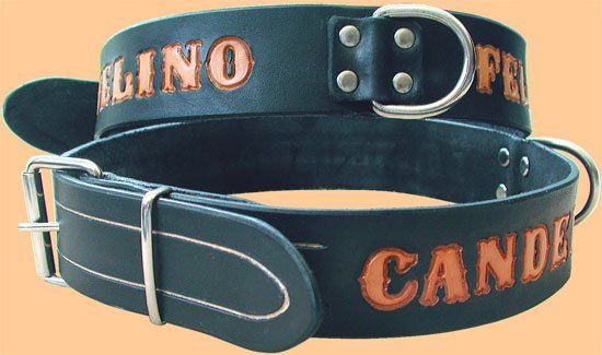 Hunde-Halsbänder mit Leinen punziert und beschriftet