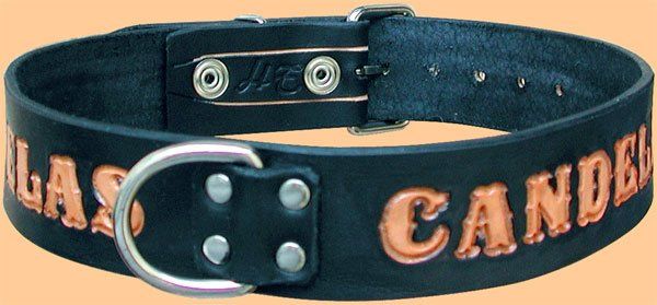 Hunde-Halsband mit Namen und Karabiner