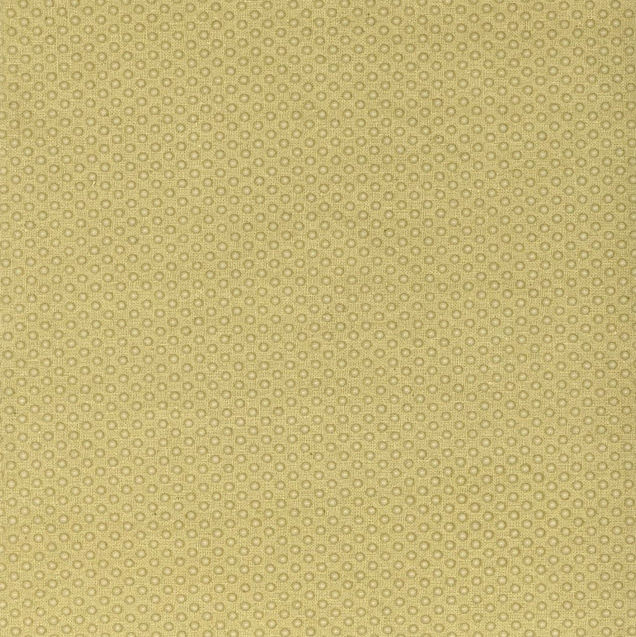 Antirtuschgewebe / Antirtuschstoff RU - Wailand Textil