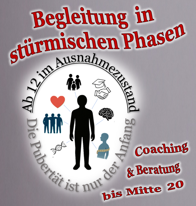 Klick für Infos zur Begleitung von Jugendlichen Jugendlicher mit Symbolen für Familie, Bildung und Emotionen.
