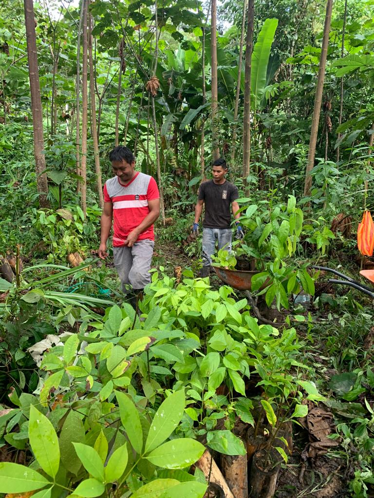 Deutsche Wildtier Stiftung