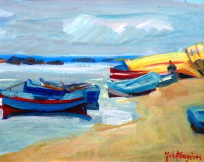 fougeres_marine_a_aghir