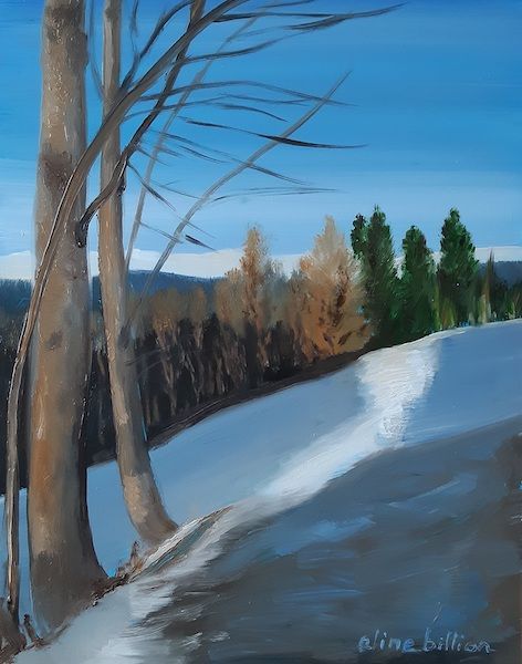 billlon_bien_au_calme