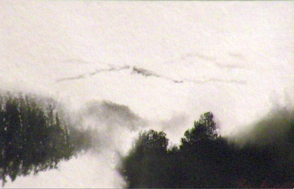ayasaki_neige_et_foret