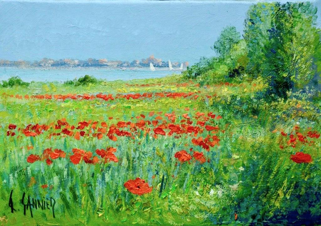 sannier_coquelicots
