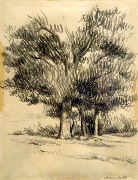 schulte_paysage_en_ombrie