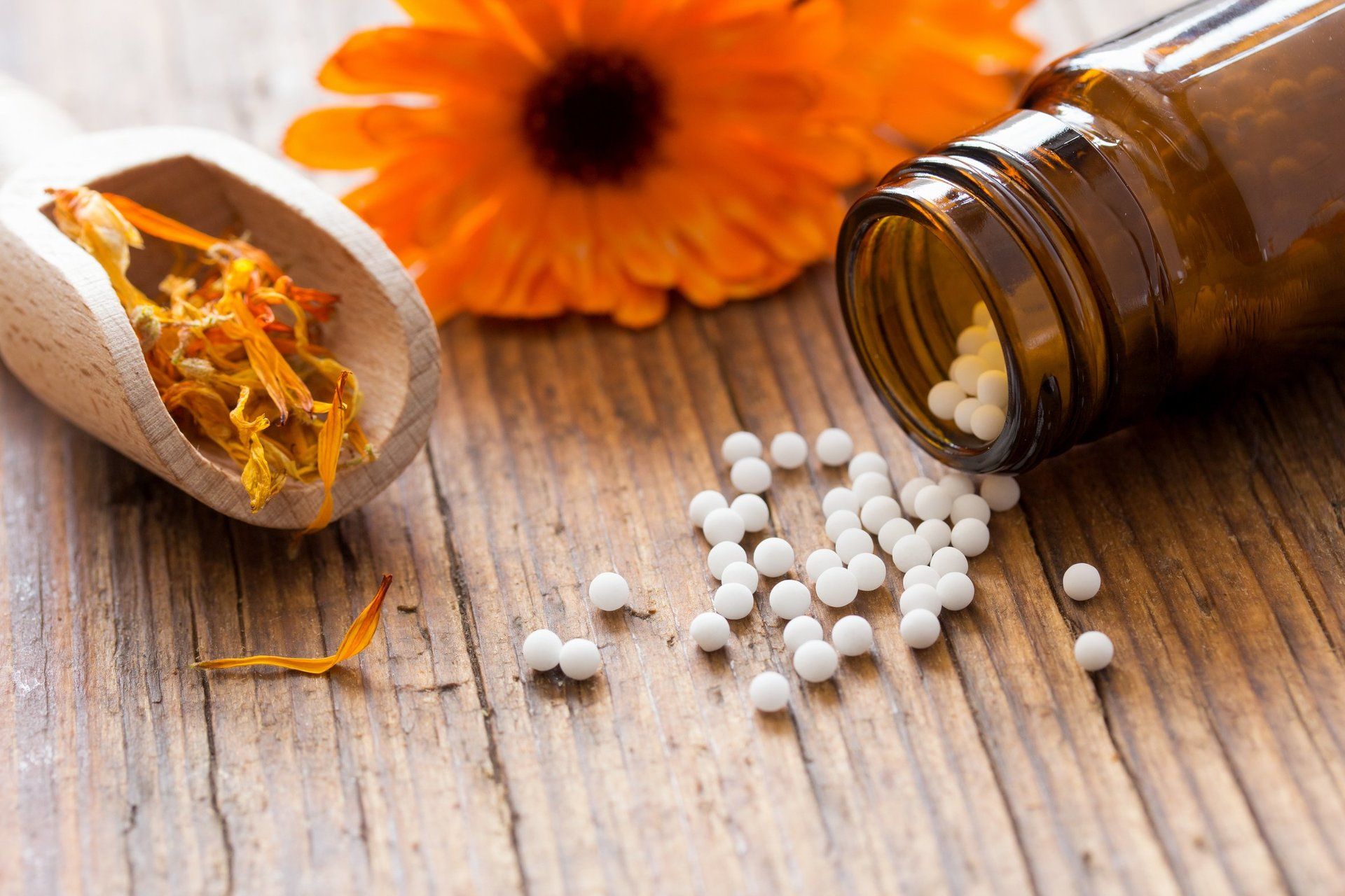 Therapieschwerpunkte