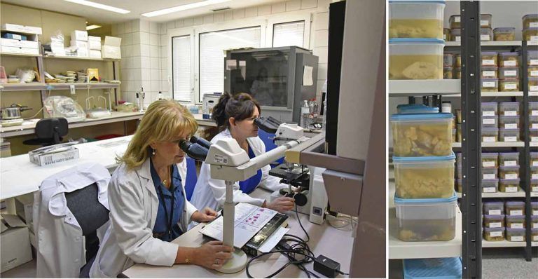 Fotografía de las doctoras investigando Las doctoras investigando