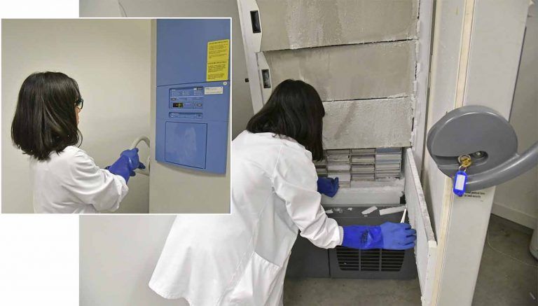 En el laboratorio