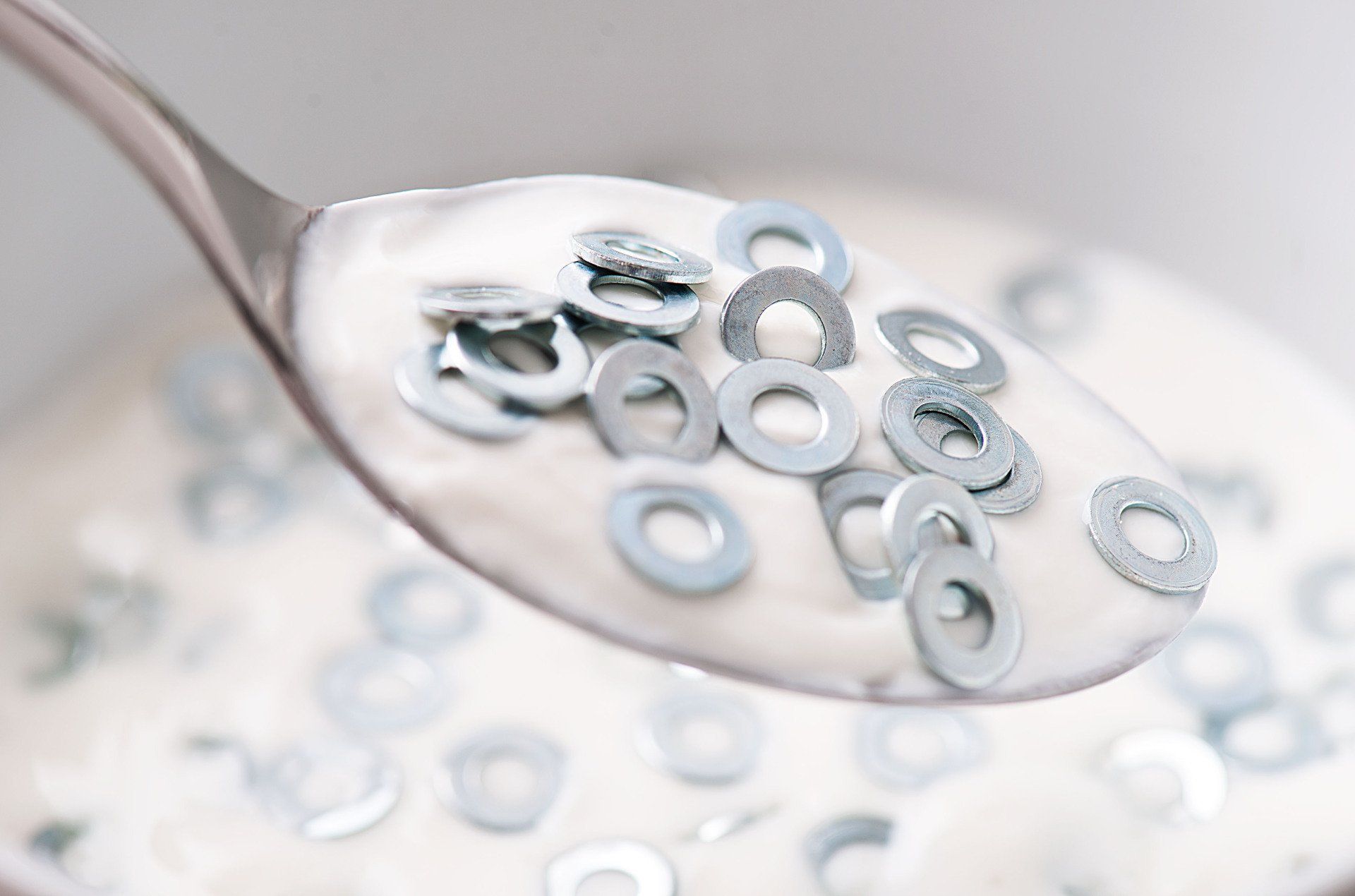 Fotografia di Lisa Dri allieva dell'Accademia Scaglia