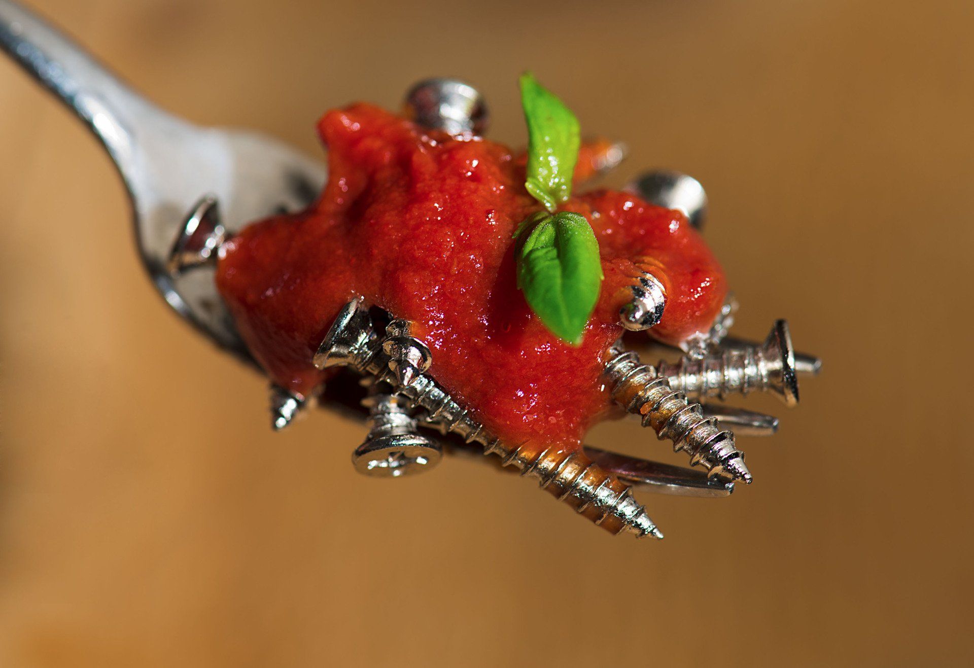 Fotografia di Lisa Dri allieva dell'Accademia Scaglia