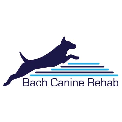 Bach Canine Rehab