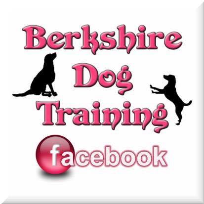 Berkshire Dog Training