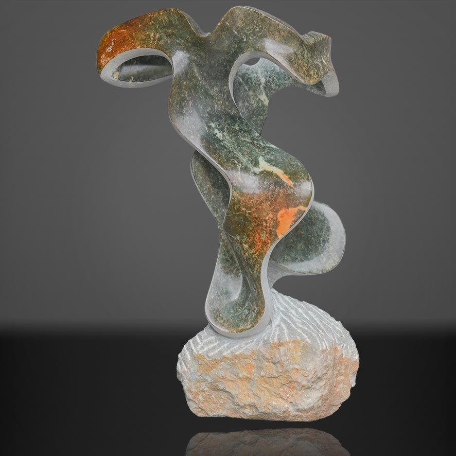 Rickson Muhrewa Zavare-The Choice