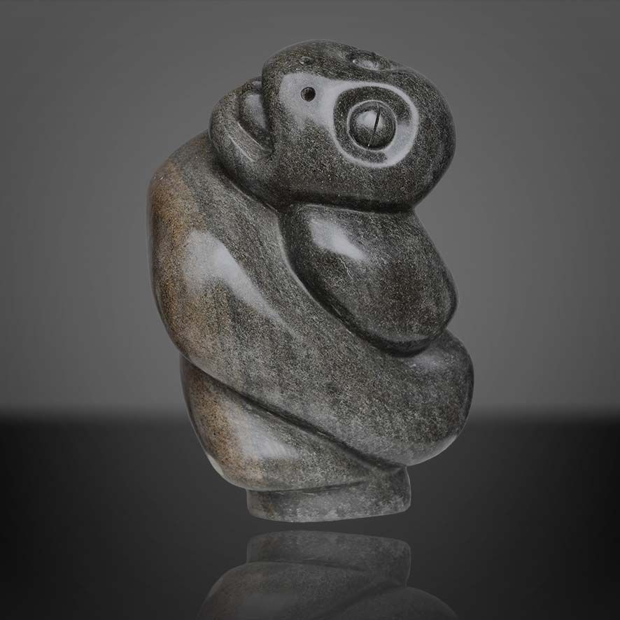 Fanizani Akuda-Python Snake