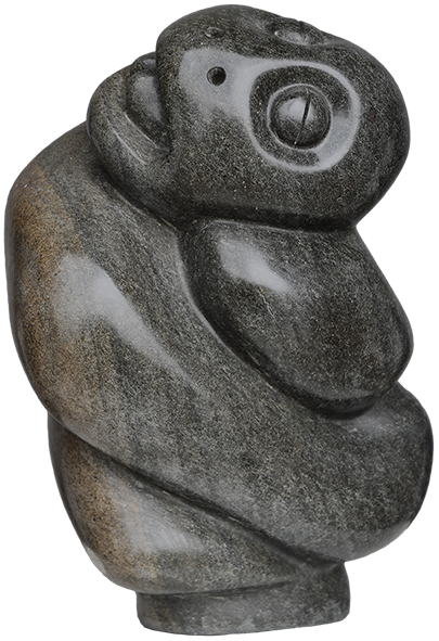 Fanizani Akuda-Python Snake