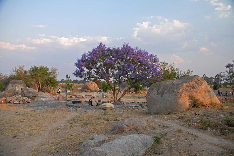 Bildhauer aus Zimbabwe Bildhauer aus Zimbabwe