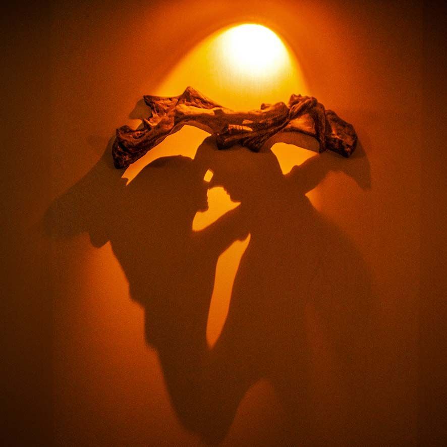 Twins Seven Seven-Jungle Quickie