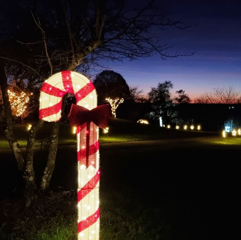 Fürstliches Winterleuchten Bad Waldsee, Wintermarkt, Weihnachtsmarkt, Glühwein, Bratwurst, Steak, Waffeln, Kinderpunsch, Kaffee, Kuchen, hausgemachte Produkte, Natur-Resort Bad Waldsee, Golfen, Golfhotel, Genuss, Romantisches Wochenende, Golfkurse, Oberschwaben, Allgäu, Café-Restaurant Ausblick T-19, Restaurant im Hofgut, Gourmet, Fürstlich, Spezialitäten Restaurant, Kurzurlaub, Sportpark, Natur-Resort, Bodensee, tolle Events, Illumination, Geschenke-Shop, Nikolaus, Weihnachten