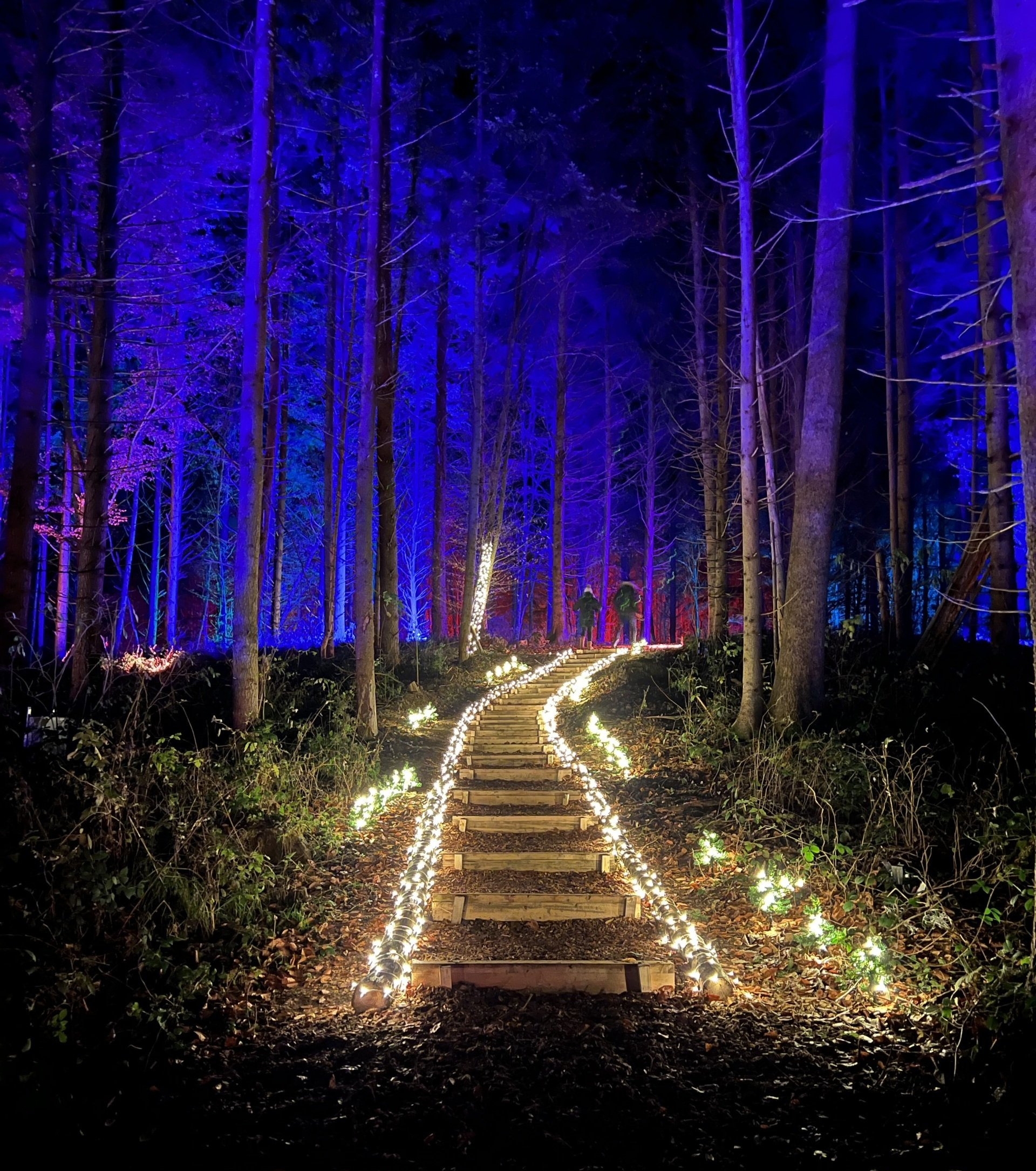 Winterzauber, Winter, Arrangement, Kurztrip, Wellness, Spa, Lichterzauber, Allgaeu, Bad, Waldsee, guenstig uebernachten