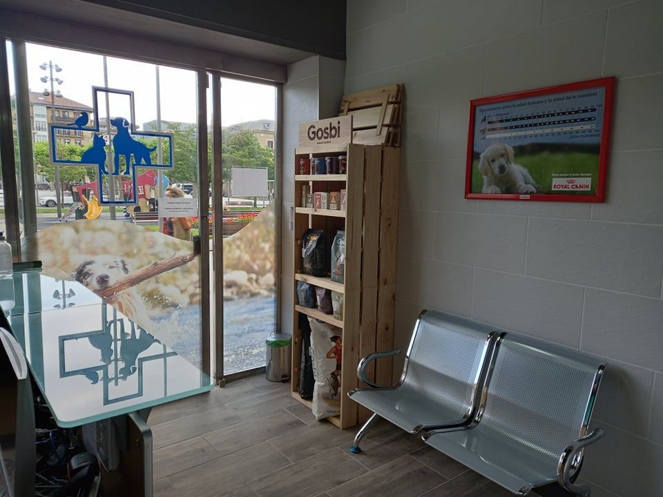 veterinaria irun