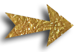 Règles de confidentialité Flèche lien vers page de confidentialité