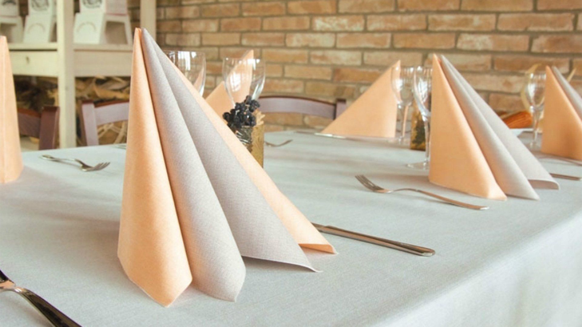 Tovaglioli ristorante