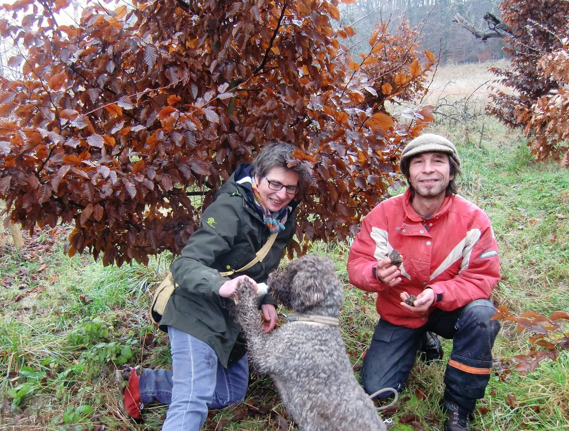 Erster Trüffelnachweis auf Plantage in Deutschland