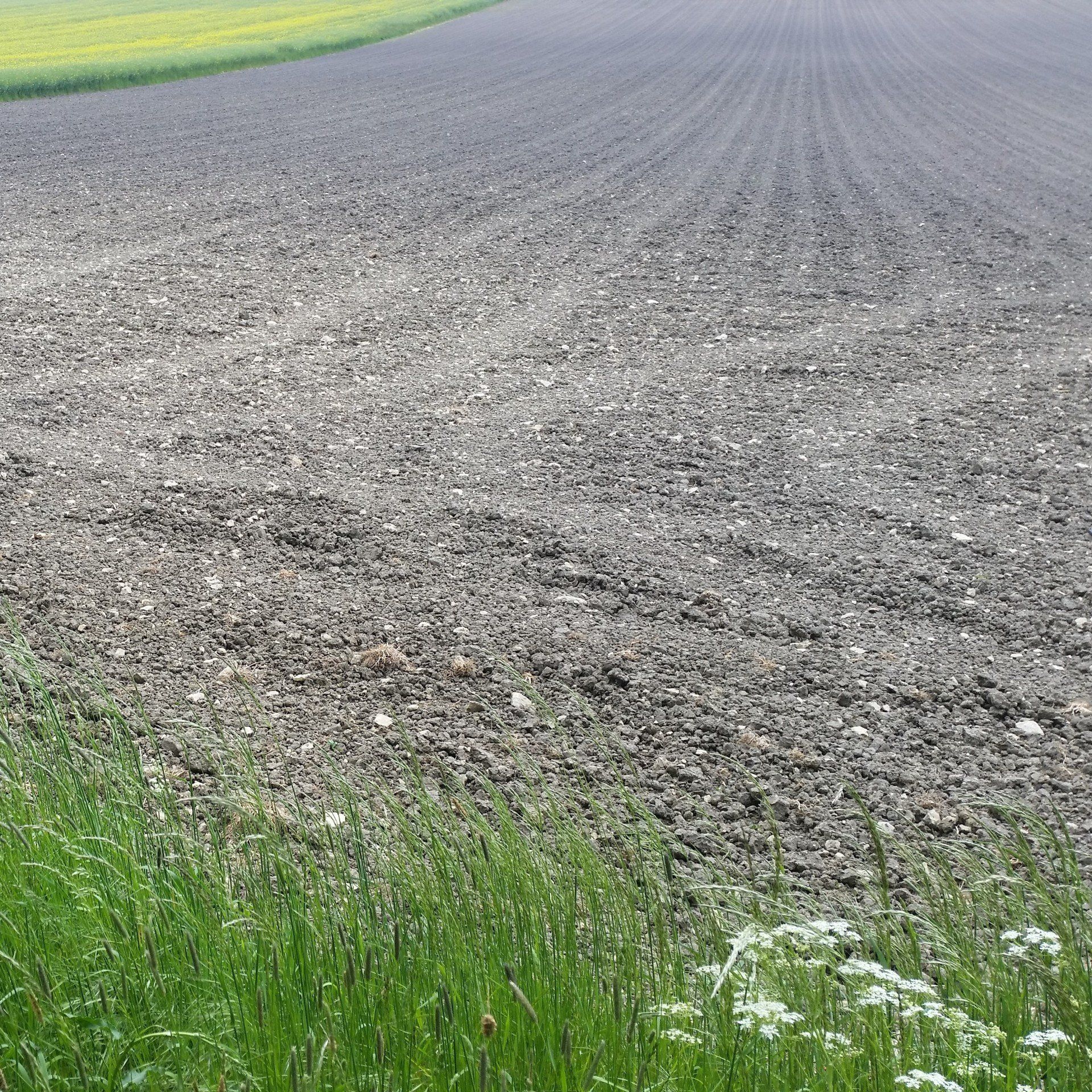 Geeigneter Boden für den Trüffelanbau B Bodenvorbereitung