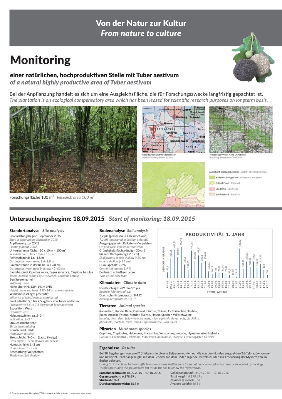 Produktivität einer Trüffelstelle Forscher der Trüffelschule ermittelten über Jahre die hohe Produktivität einer natürlichen Trüffelstelle von 100m²