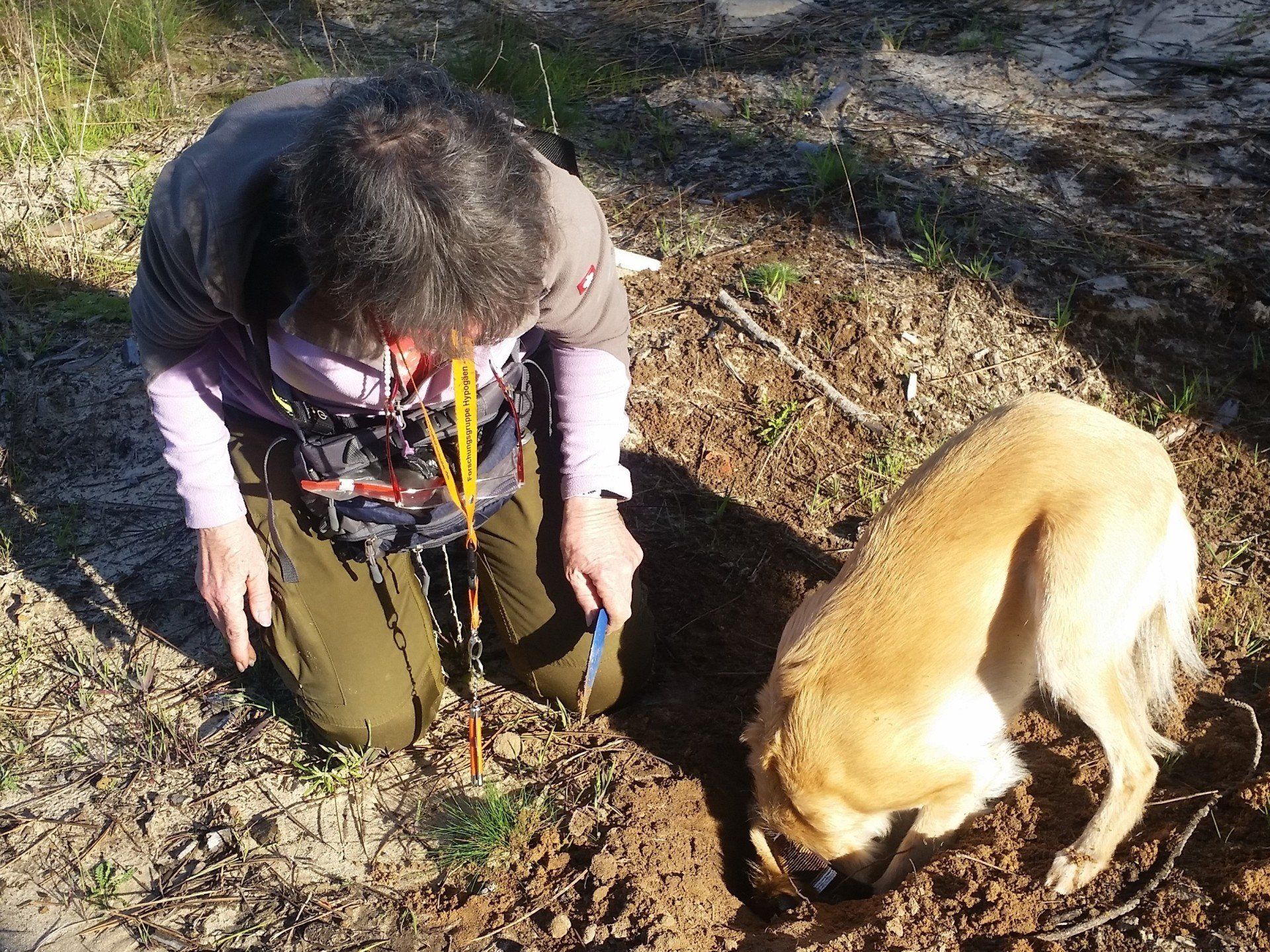 Trüffelsucherin mit Hund der weit mit dem Kopf in der Erde steckt