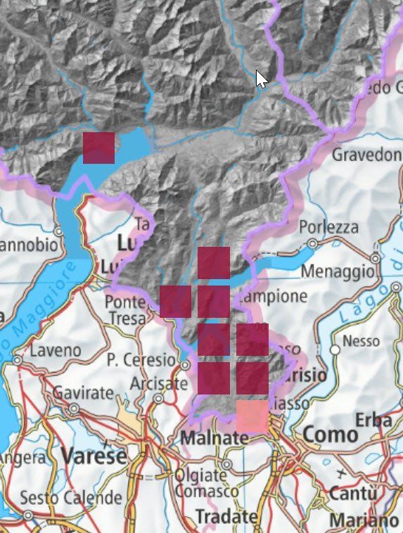 Trüffelregion Tessin - Fundstellenkartierung