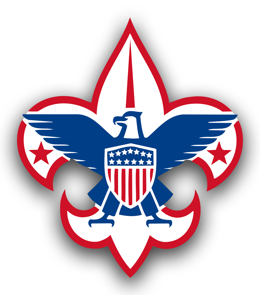 BSA Logo