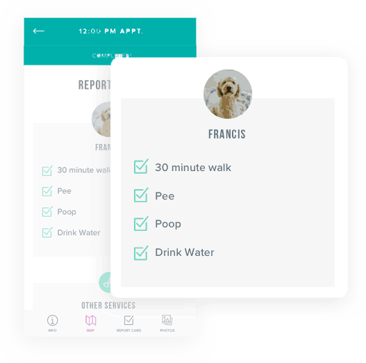 After every pet sitting and dog walk you get a visit report from a Hooman on Demand dog walker