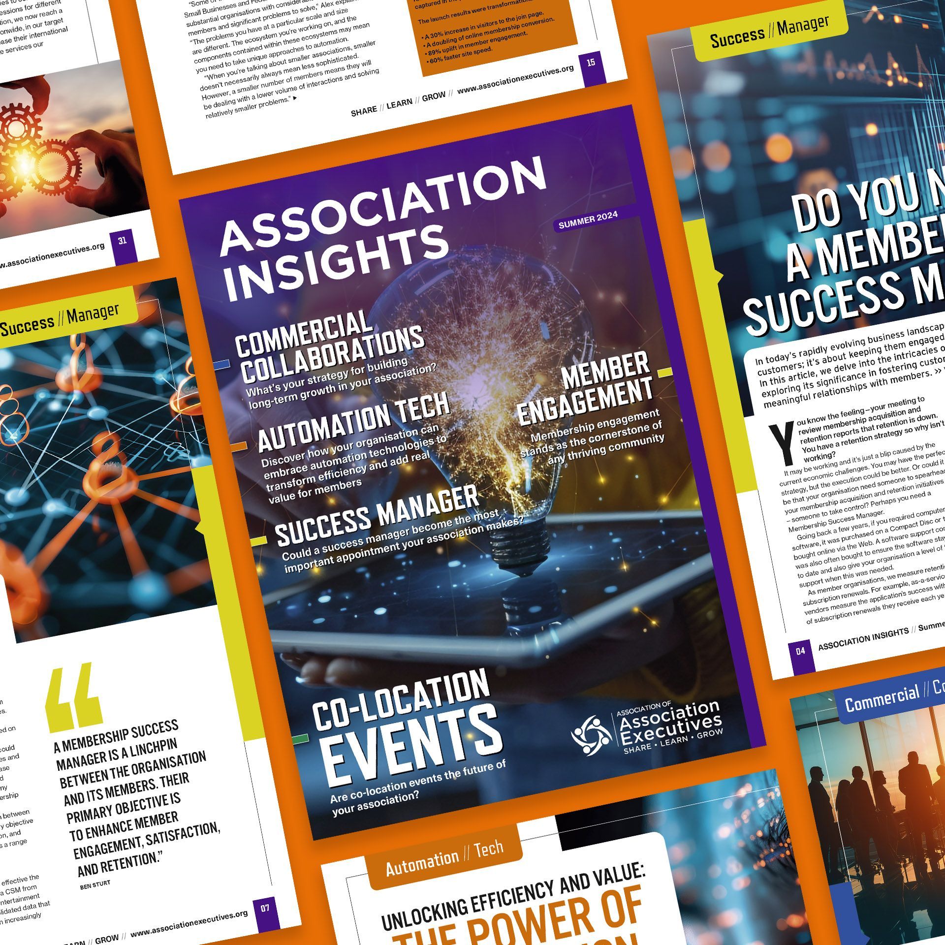 Association Insights Magazine cover and inside page layout designs