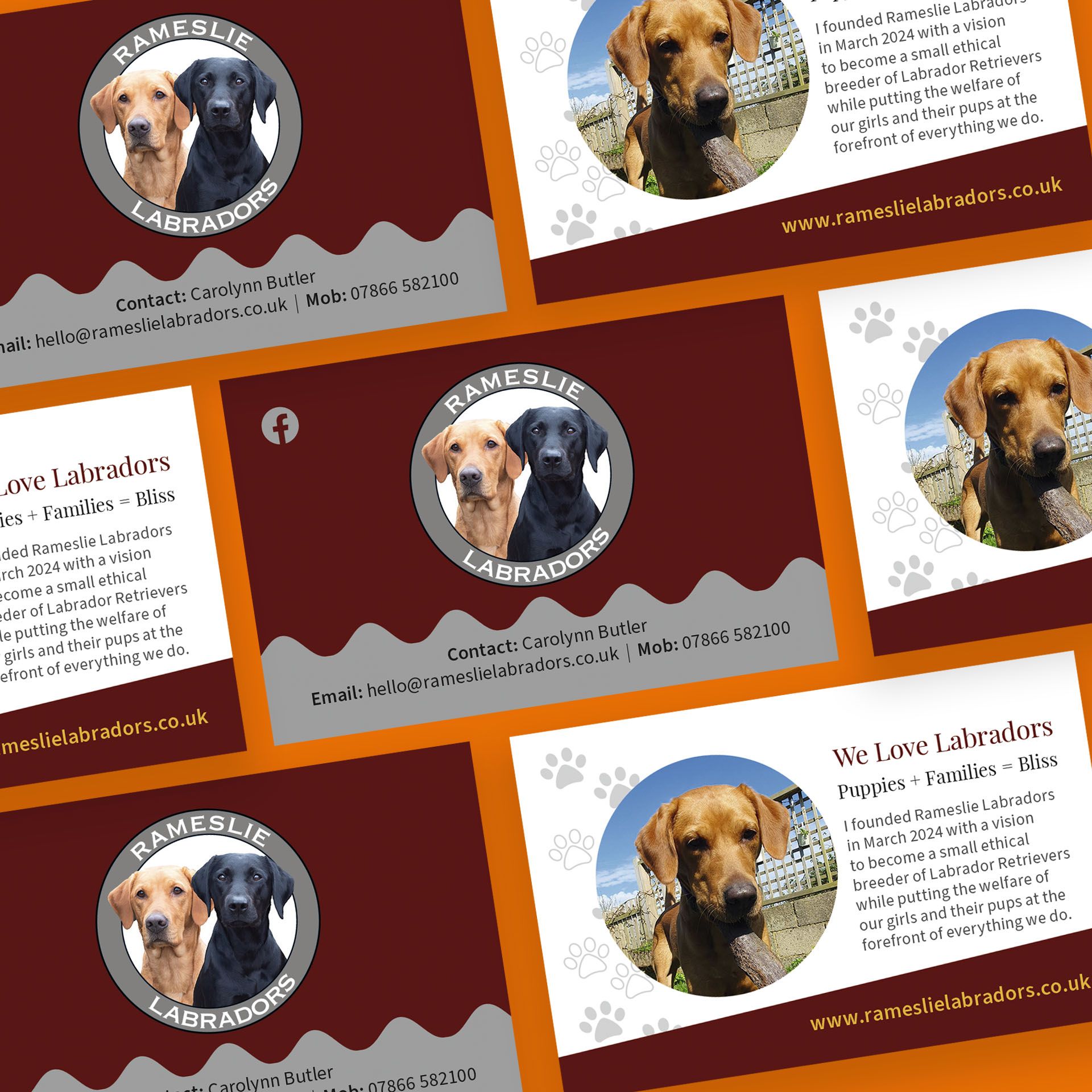 The Upholsterers Bexhill website screenshoot with oragne background