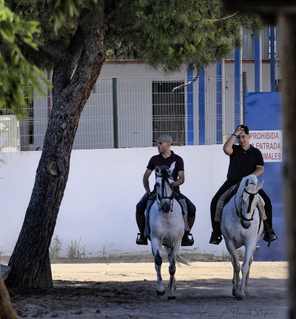 Cavaliers del Rocio en Andalousie