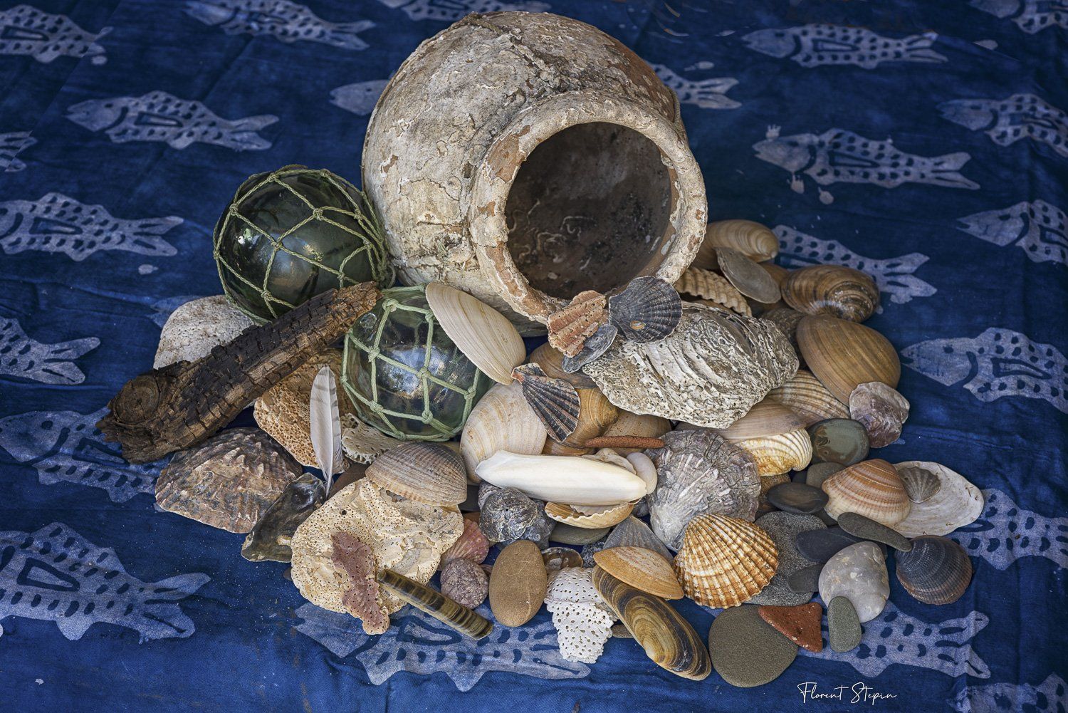 Fortune de mer, Florent Stepin, Algarve, Portugal.