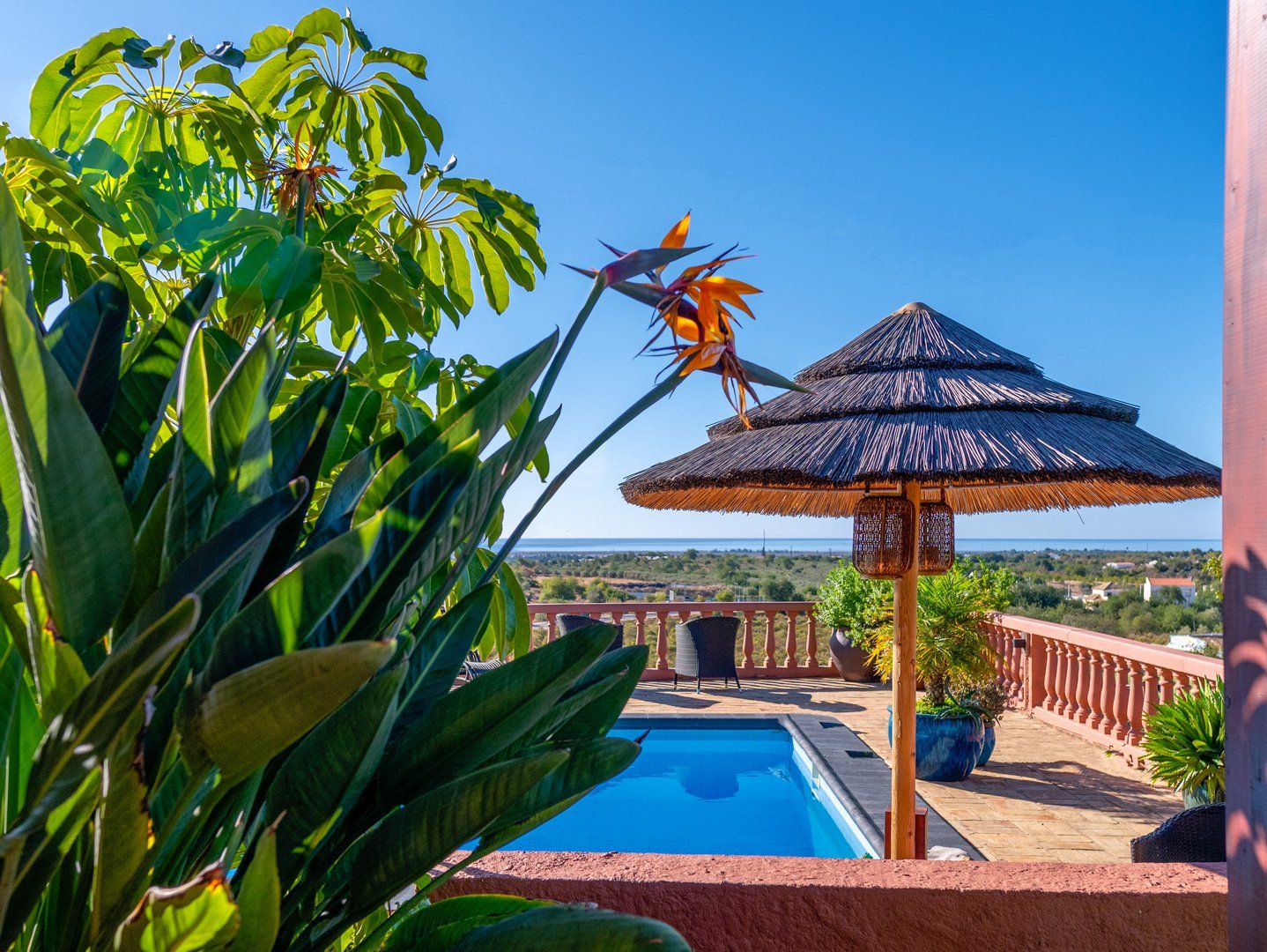 photo immobilière de la piscine avec vue mer